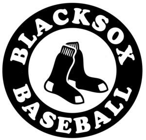 circle logo blacksox