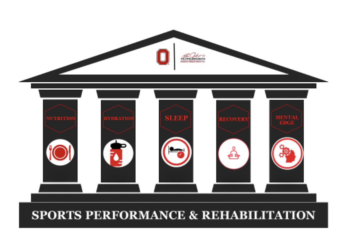Peak Performance Pillars