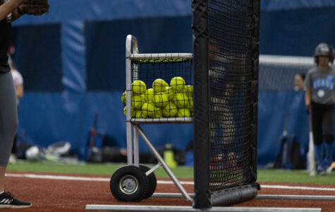 Softball Winter Specialty Camps
