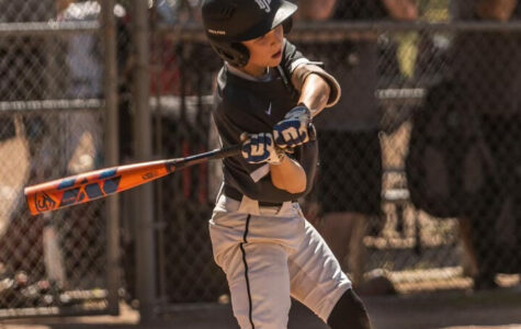 Fall Instructional League