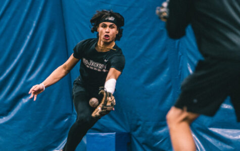 Pre-Season Advanced Infielders